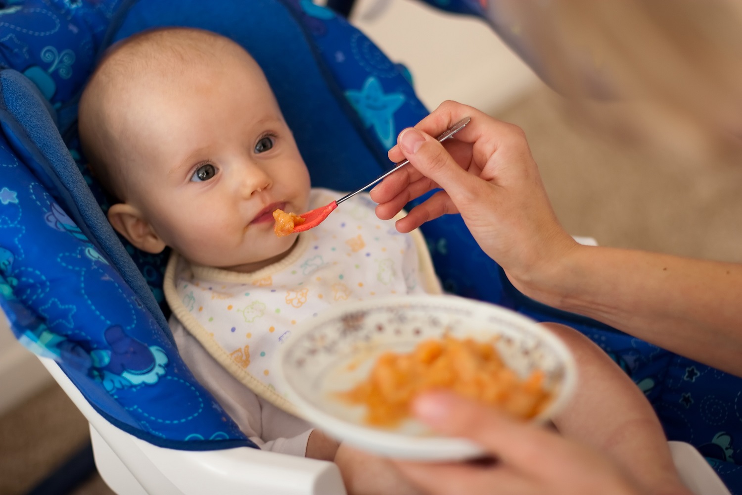 How To Prepare Baby Solid Food
