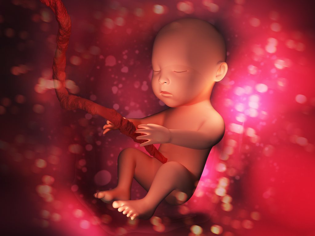 When Do Babies Eyes Develop In Womb